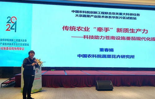 科技賦能，降本增效 中國農(nóng)科院助力設(shè)施番茄產(chǎn)業(yè)變革